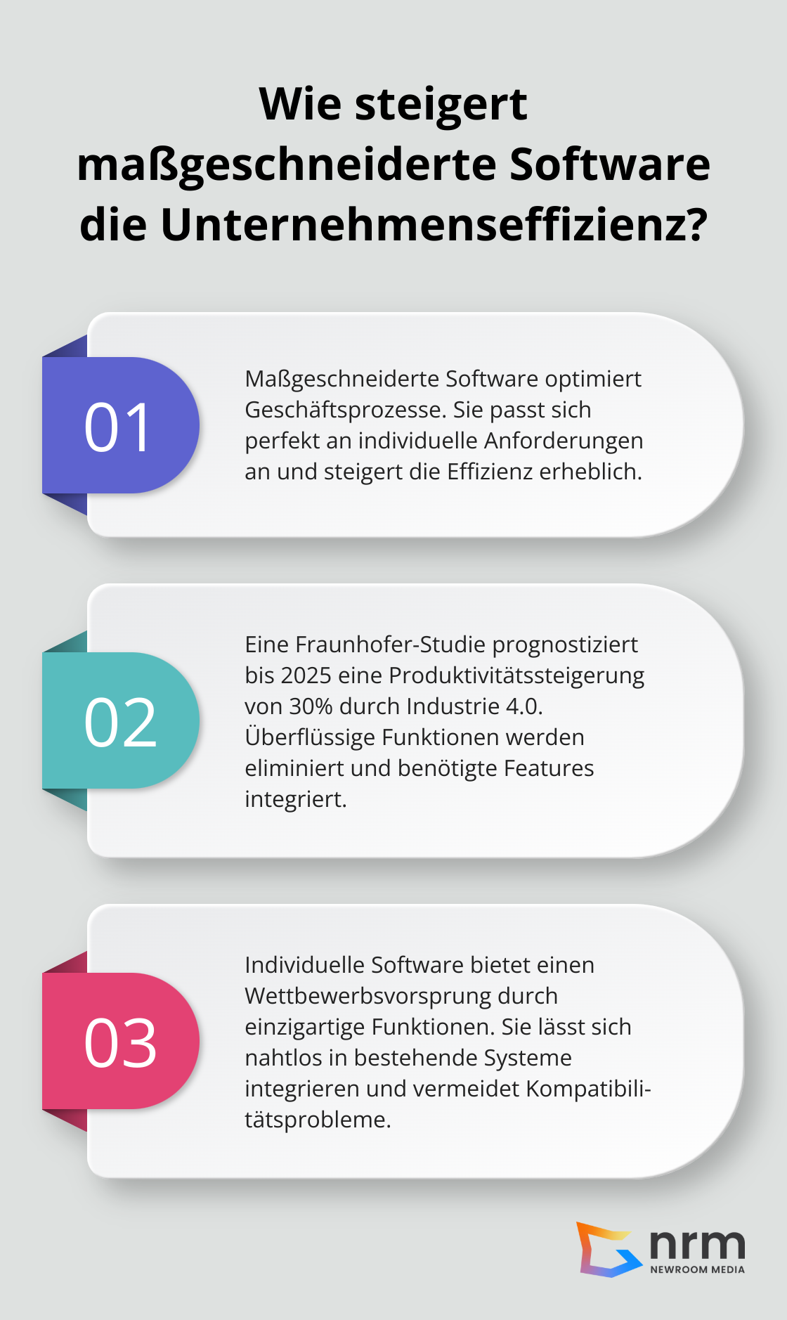 Infographic: Wie steigert maßgeschneiderte Software die Unternehmenseffizienz? - Software Entwicklung