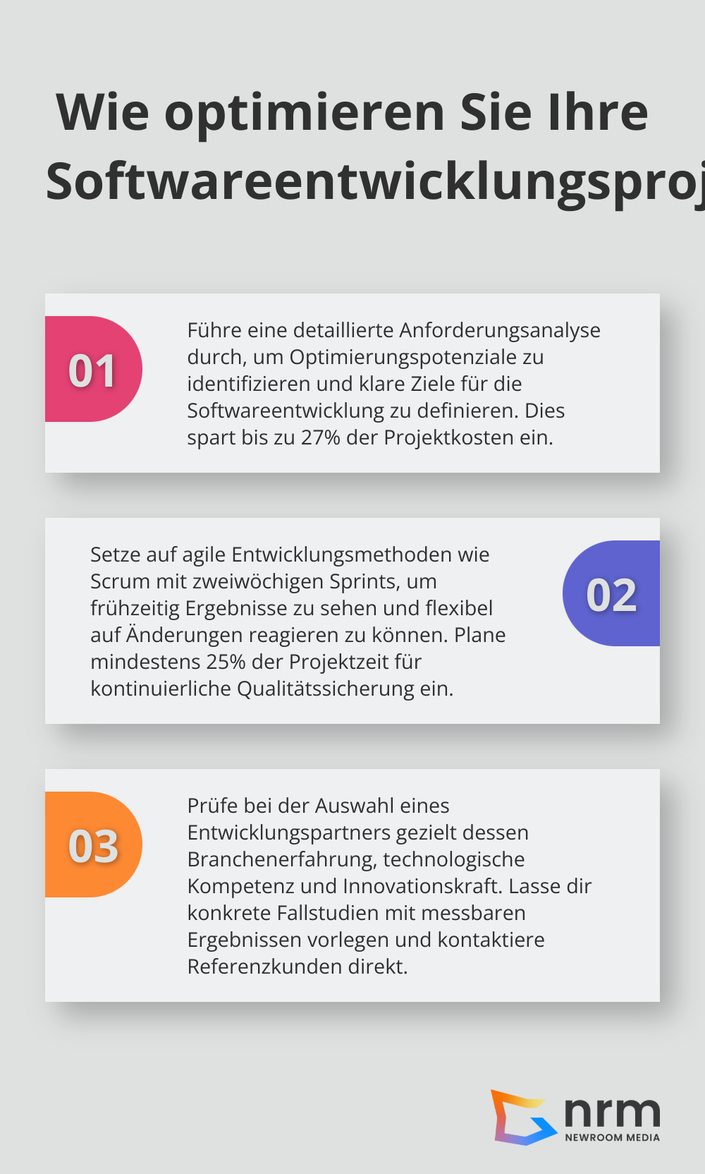 Infographic: Wie optimieren Sie Ihre Softwareentwicklungsprojekte? - Software Entwicklung
