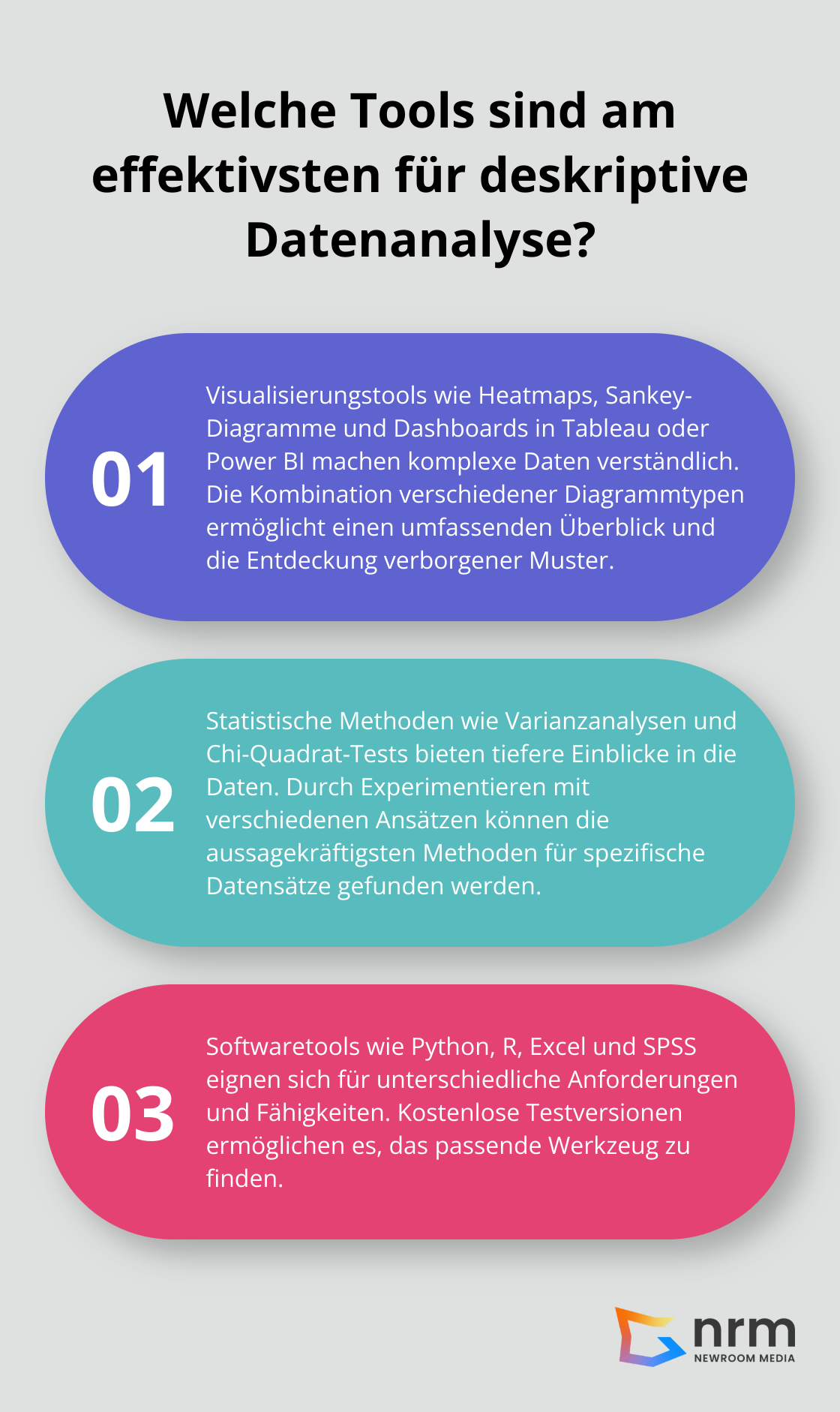 Infographic: Welche Tools sind am effektivsten für deskriptive Datenanalyse?