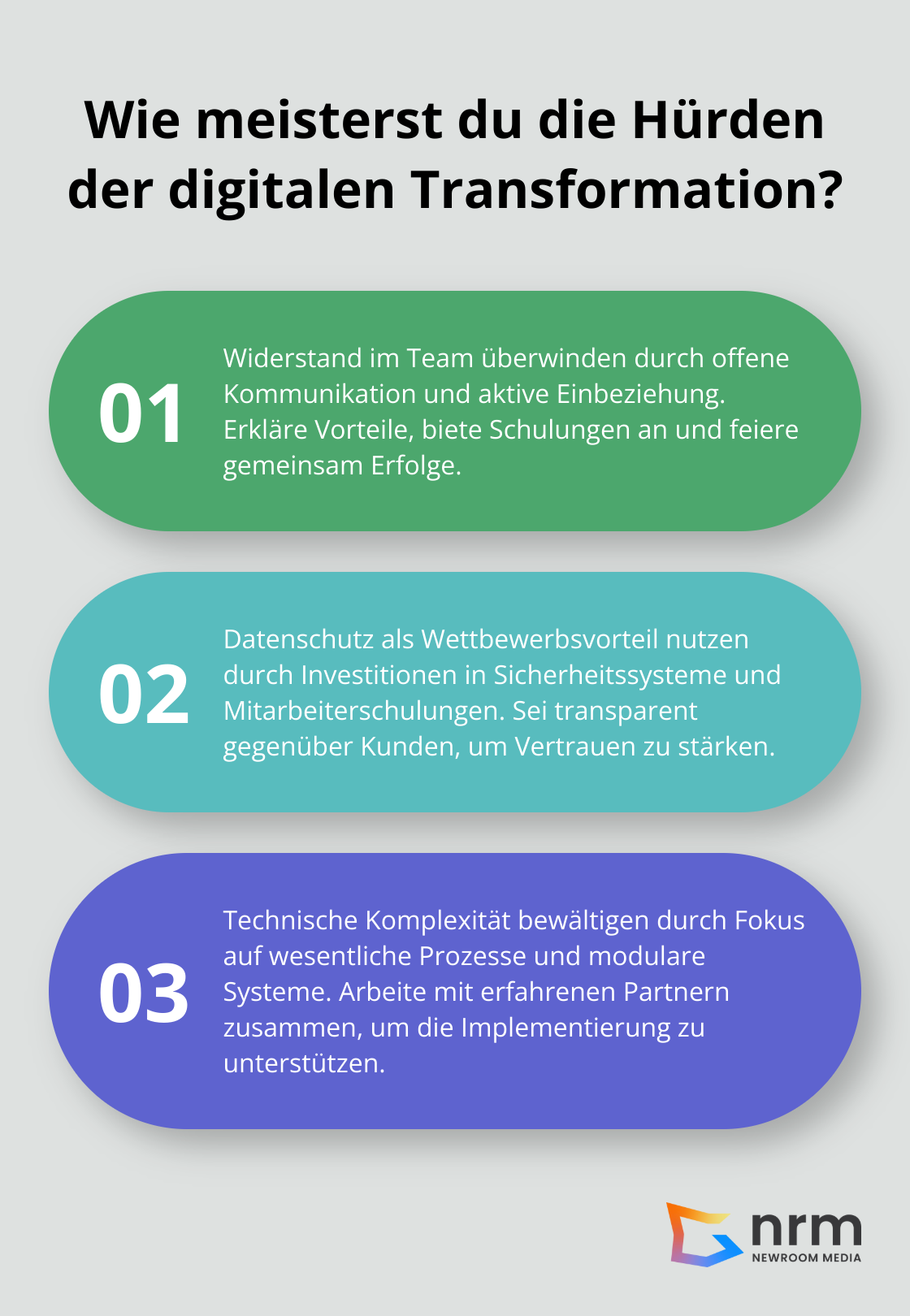 Infographic: Wie meisterst du die Hürden der digitalen Transformation? - digital transformation whitepaper