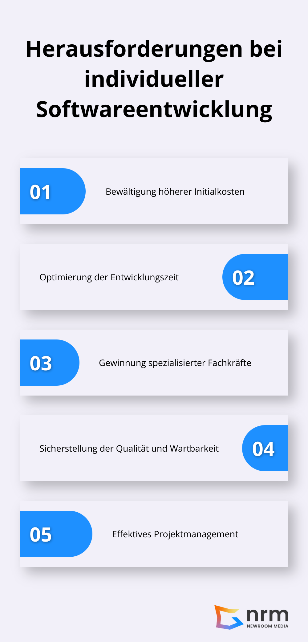 Infografik zeigt die fünf Hauptherausforderungen bei individueller Softwareentwicklung: Höhere Initialkosten, Längere Entwicklungszeit, Fachkräftemangel, Qualitätssicherung und Projektmanagement.
