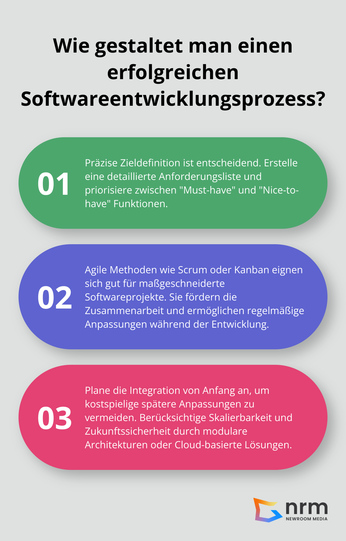 Infographic: Wie gestaltet man einen erfolgreichen Softwareentwicklungsprozess?