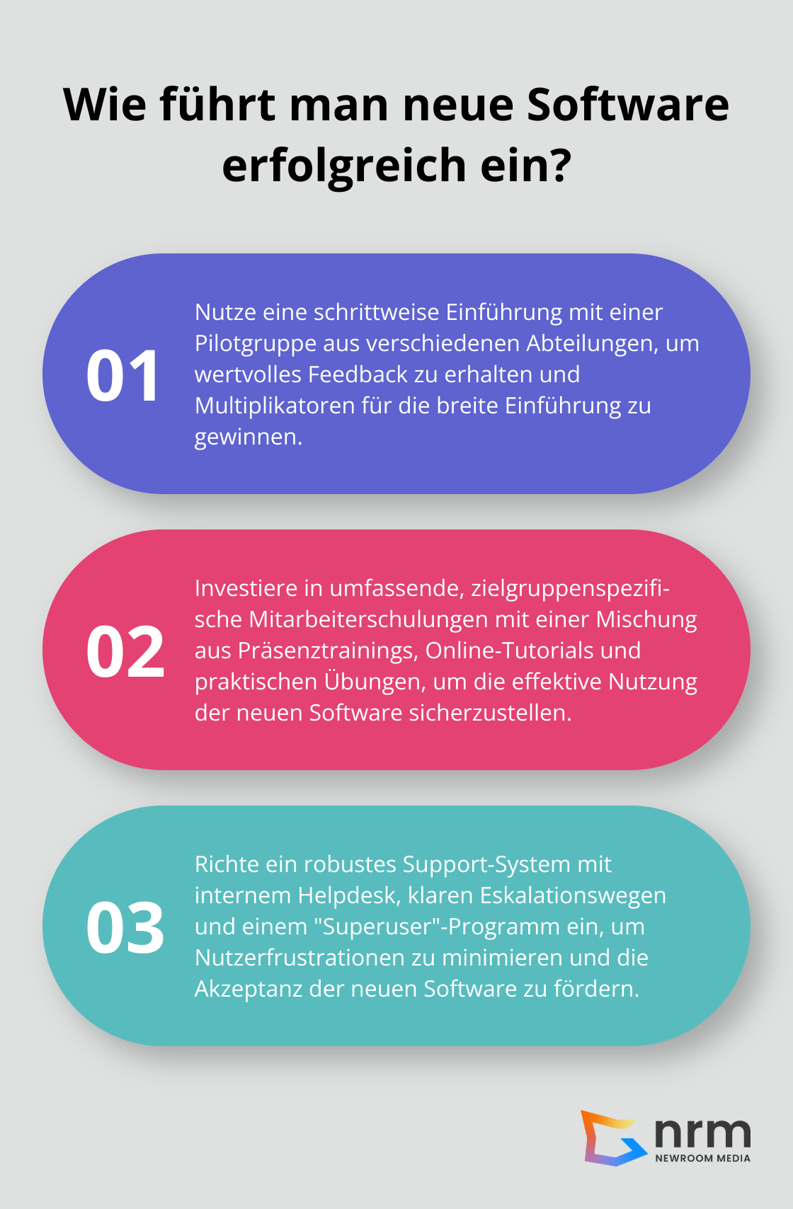 Infographic: Wie führt man neue Software erfolgreich ein?