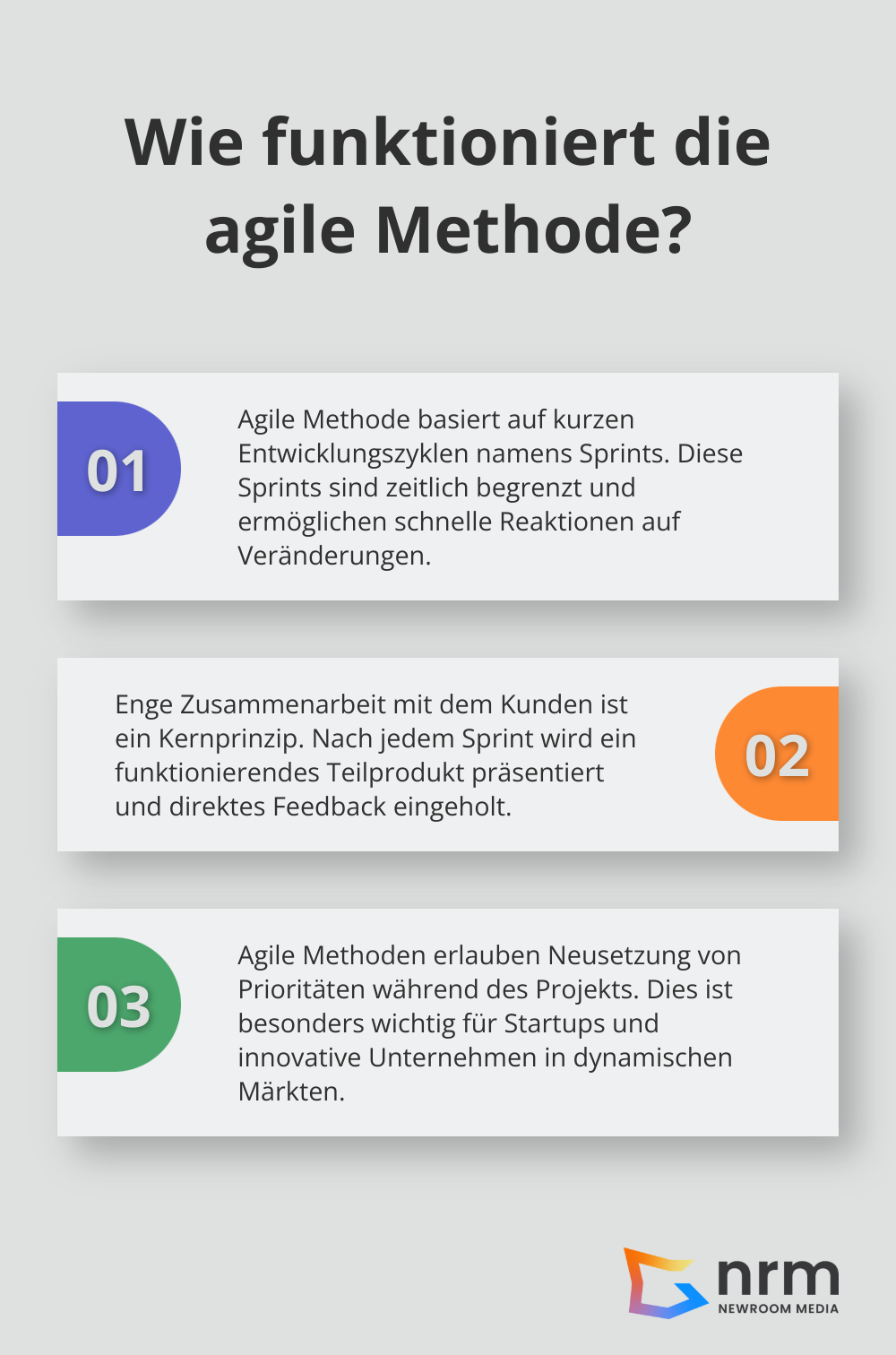 Infographic: Wie funktioniert die agile Methode?