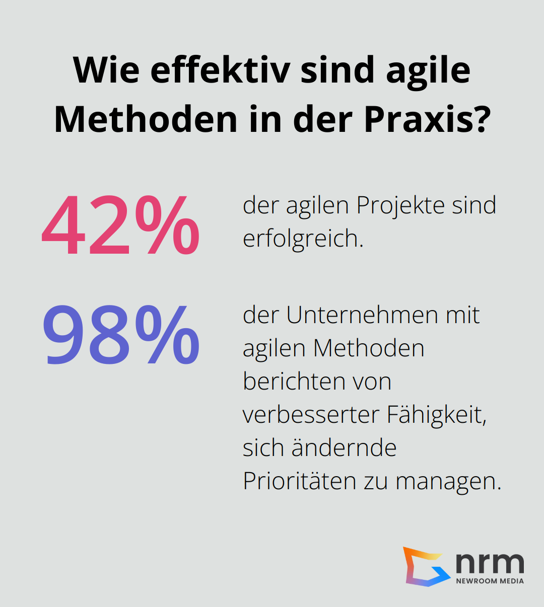 Infographic: Wie effektiv sind agile Methoden in der Praxis? - methoden der softwareentwicklung