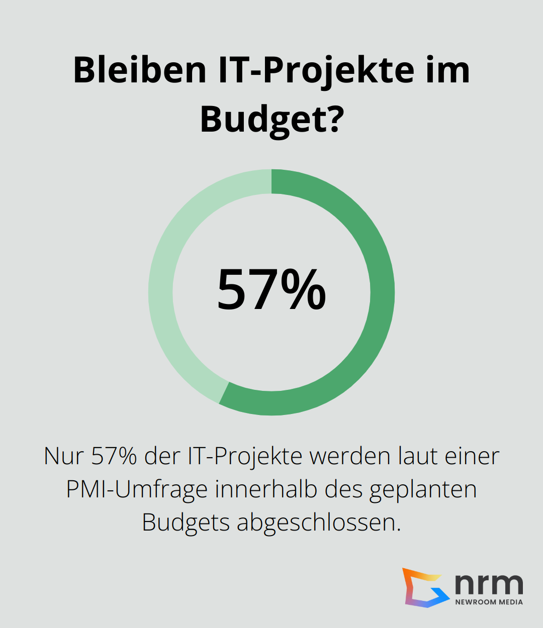 Infographic: Bleiben IT-Projekte im Budget? - phasen der softwareentwicklung