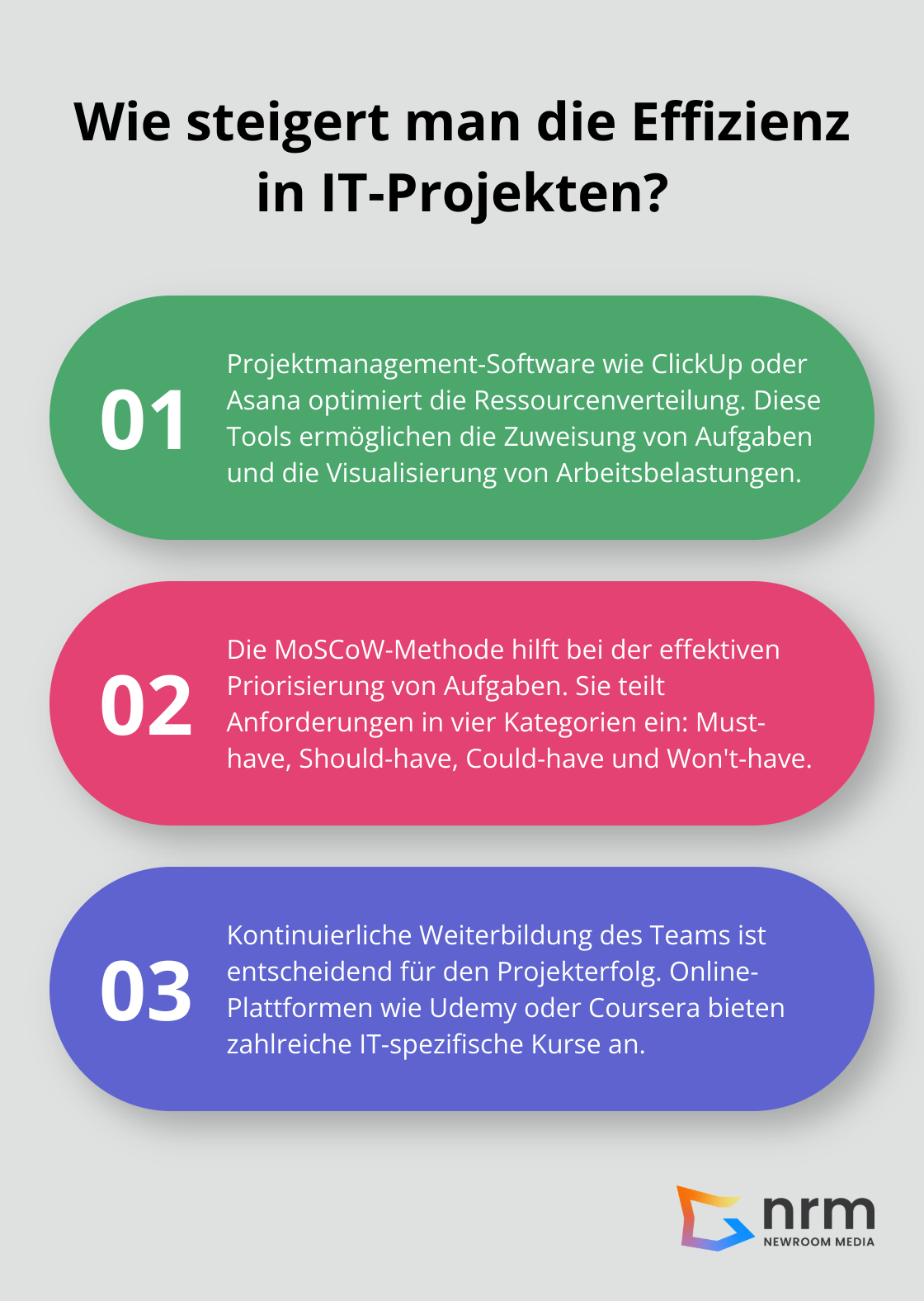 Infographic: Wie steigert man die Effizienz in IT-Projekten?