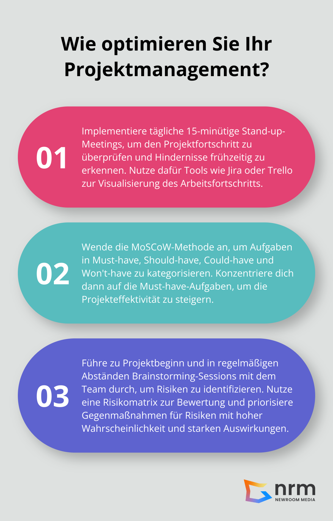 Infographic: Wie optimieren Sie Ihr Projektmanagement? - projektmanagement softwareentwicklung