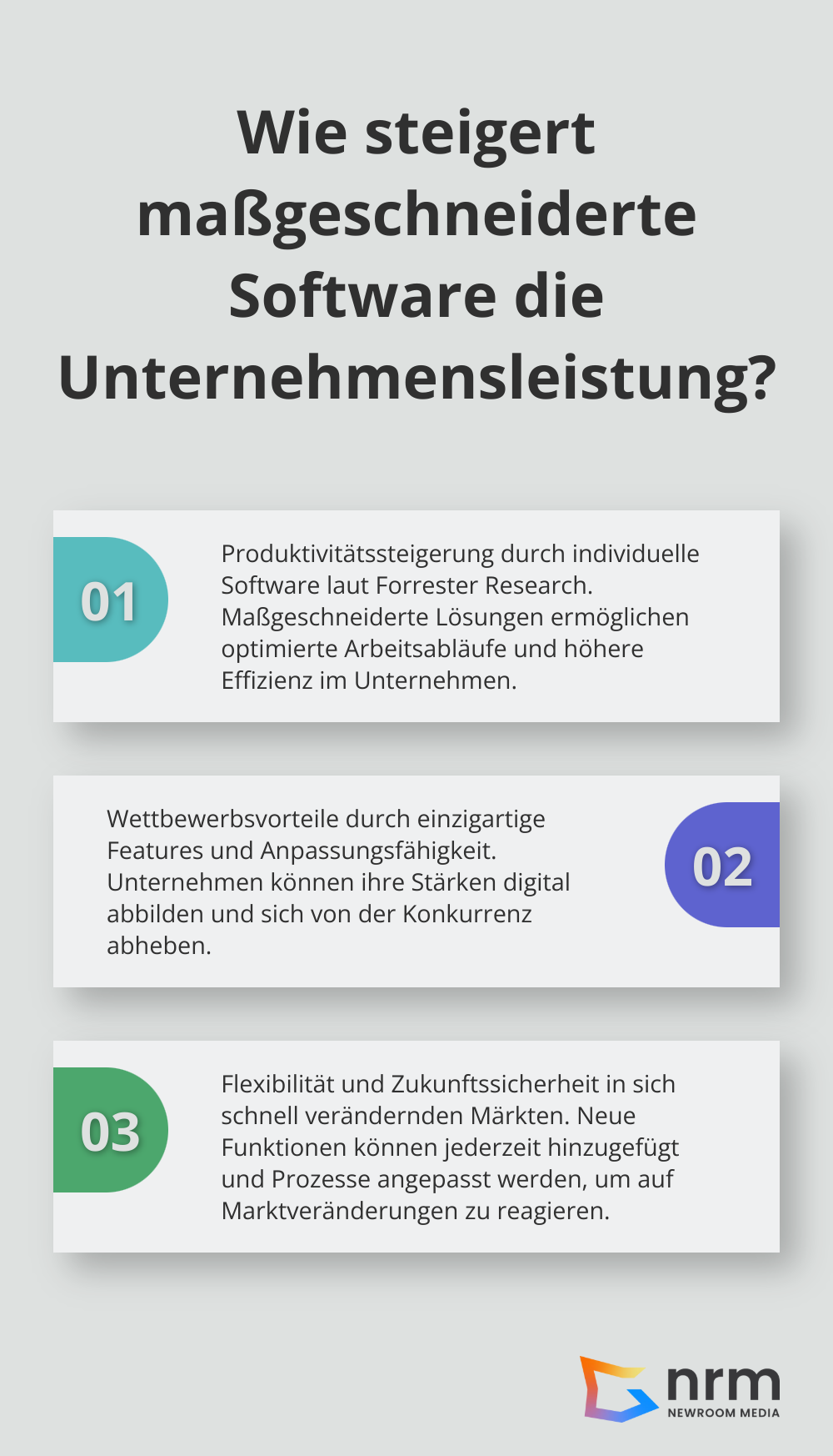 Infographic: Wie steigert maßgeschneiderte Software die Unternehmensleistung?