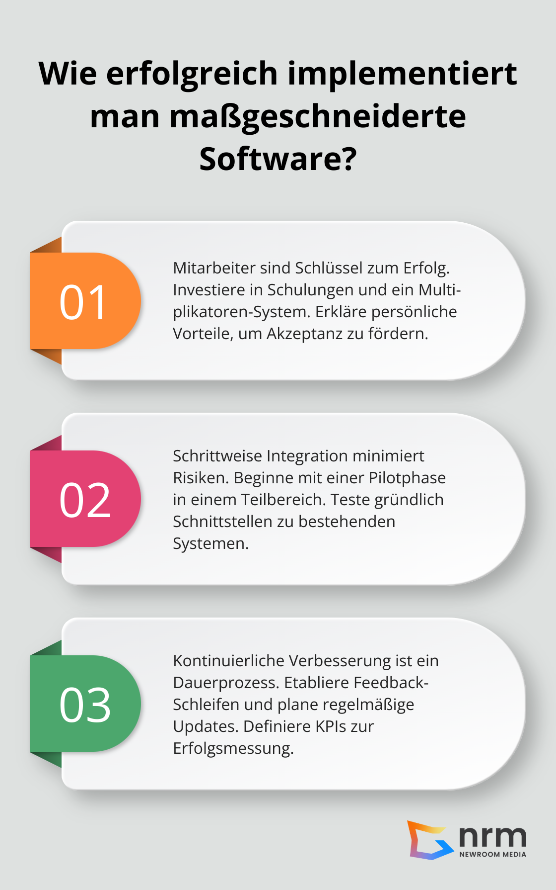 Infographic: Wie erfolgreich implementiert man maßgeschneiderte Software? - softwarelösungen für unternehmen
